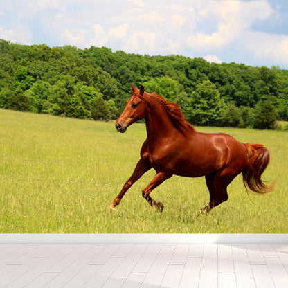 Contemporary Steed Wall Covering Mural in Dark Color Animal Wall Decor for Boys Bedroom Green Clearhalo 'Wall Decor' 'Wall Mural' 1757542