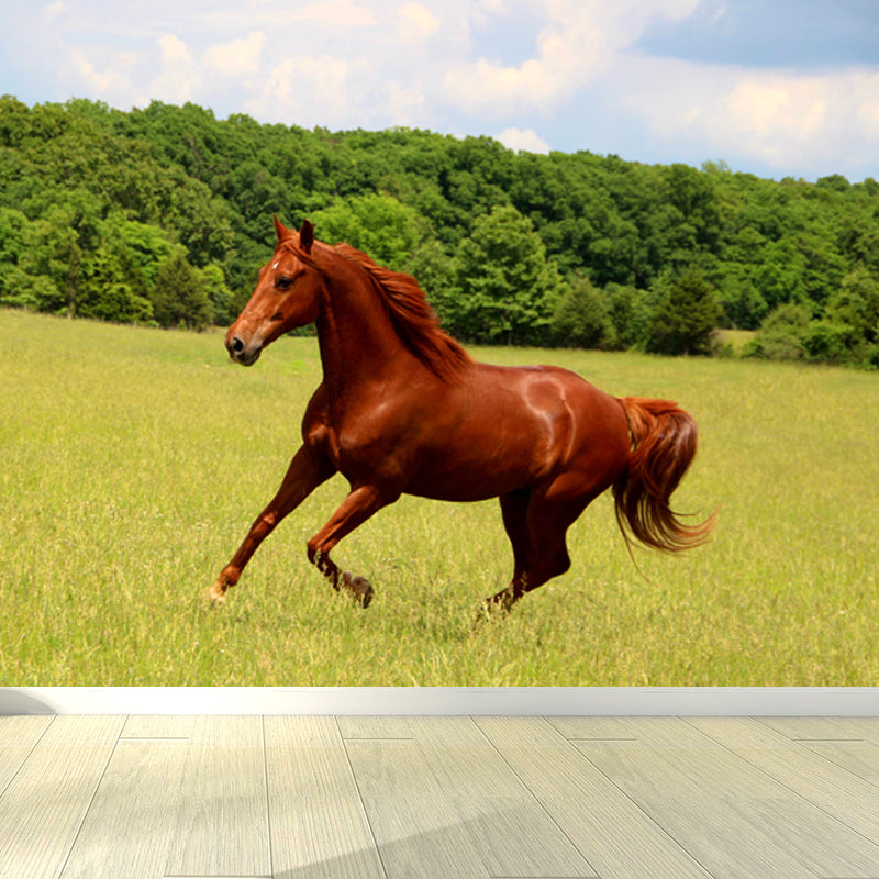 Contemporary Steed Wall Covering Mural in Dark Color Animal Wall Decor for Boys Bedroom Clearhalo 'Wall Decor' 'Wall Mural' 1757543