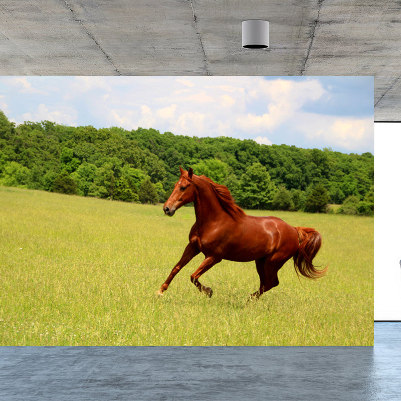 Contemporary Steed Wall Covering Mural in Dark Color Animal Wall Decor for Boys Bedroom Clearhalo 'Wall Decor' 'Wall Mural' 1757544