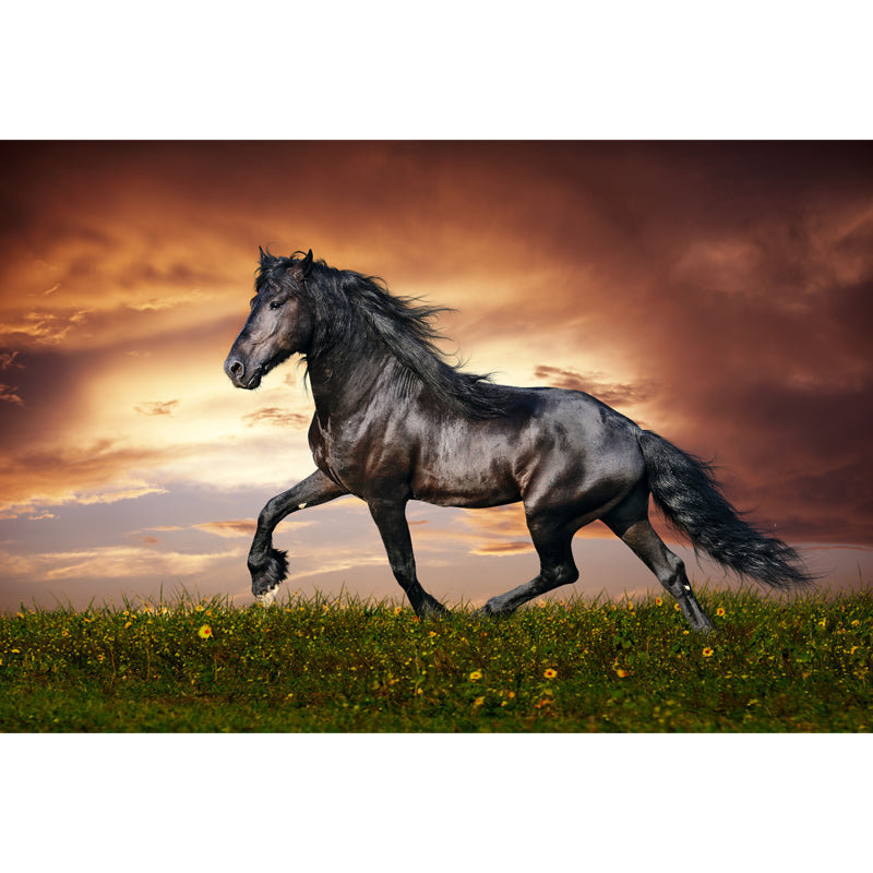 Horse Mural Wallpaper Dark Color Modern Style Wall Covering for Boys Room, Custom Size Clearhalo 'Wall Decor' 'Wall Mural' 1757575