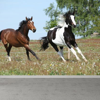 Horse Mural Wallpaper Dark Color Modern Style Wall Covering for Boys Room, Custom Size Green Clearhalo 'Wall Decor' 'Wall Mural' 1757582