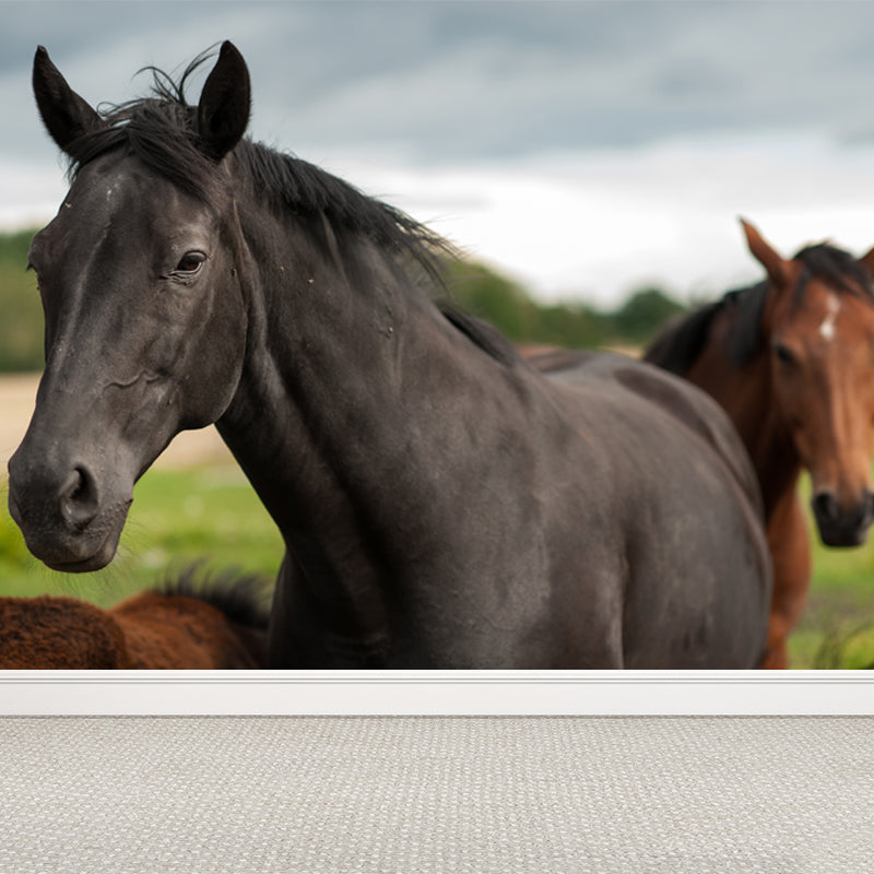 Horse Mural Wallpaper Dark Color Modern Style Wall Covering for Boys Room, Custom Size Black Clearhalo 'Wall Decor' 'Wall Mural' 1757587