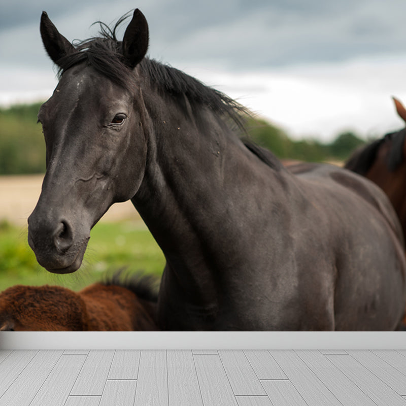 Horse Mural Wallpaper Dark Color Modern Style Wall Covering for Boys Room, Custom Size Clearhalo 'Wall Decor' 'Wall Mural' 1757588