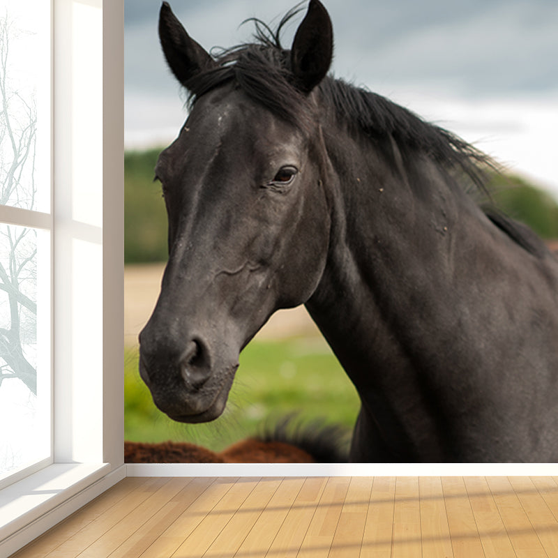 Horse Mural Wallpaper Dark Color Modern Style Wall Covering for Boys Room, Custom Size Clearhalo 'Wall Decor' 'Wall Mural' 1757589