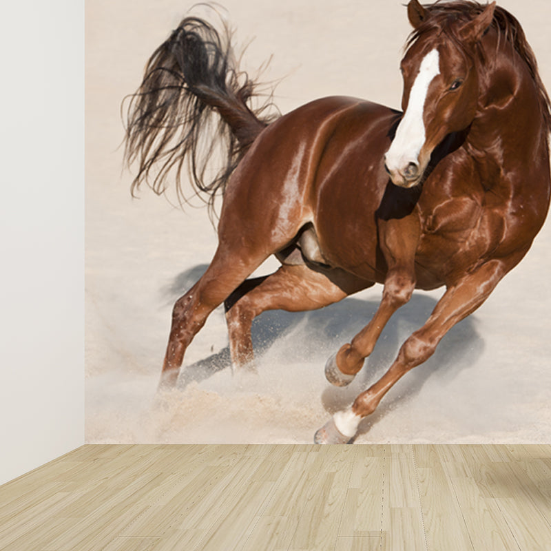 Photography Steed Wall Mural Decal Giant Wall Decor for Living Room, Made to Measure Clearhalo 'Wall Decor' 'Wall Mural' 1757604