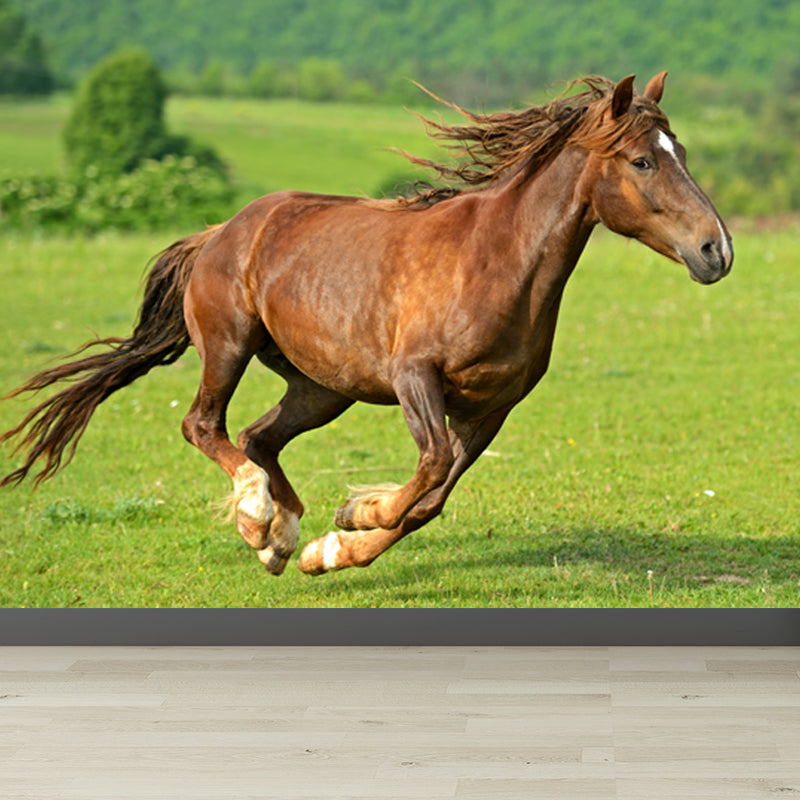 Photography Steed Wall Mural Decal Giant Wall Decor for Living Room, Made to Measure Clearhalo 'Wall Decor' 'Wall Mural' 1757608