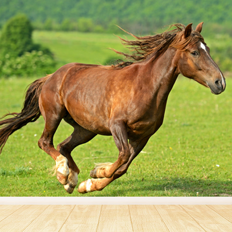 Photography Steed Wall Mural Decal Giant Wall Decor for Living Room, Made to Measure Clearhalo 'Wall Decor' 'Wall Mural' 1757609