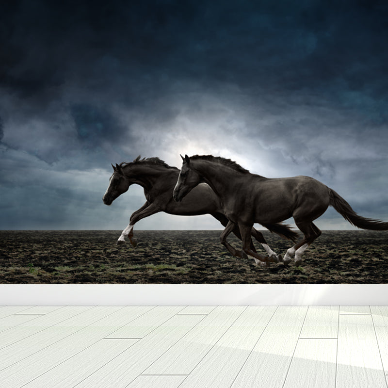 Photography Steed Wall Mural Decal Giant Wall Decor for Living Room, Made to Measure Black Clearhalo 'Wall Decor' 'Wall Mural' 1757612