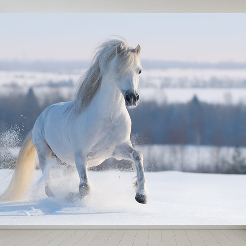 Photography Steed Wall Mural Decal Giant Wall Decor for Living Room, Made to Measure White Clearhalo 'Wall Decor' 'Wall Mural' 1757617