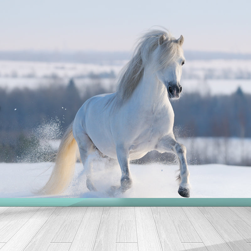 Photography Steed Wall Mural Decal Giant Wall Decor for Living Room, Made to Measure Clearhalo 'Wall Decor' 'Wall Mural' 1757618