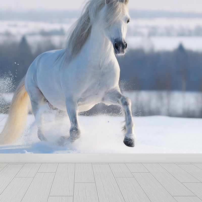 Photography Steed Wall Mural Decal Giant Wall Decor for Living Room, Made to Measure Clearhalo 'Wall Decor' 'Wall Mural' 1757619