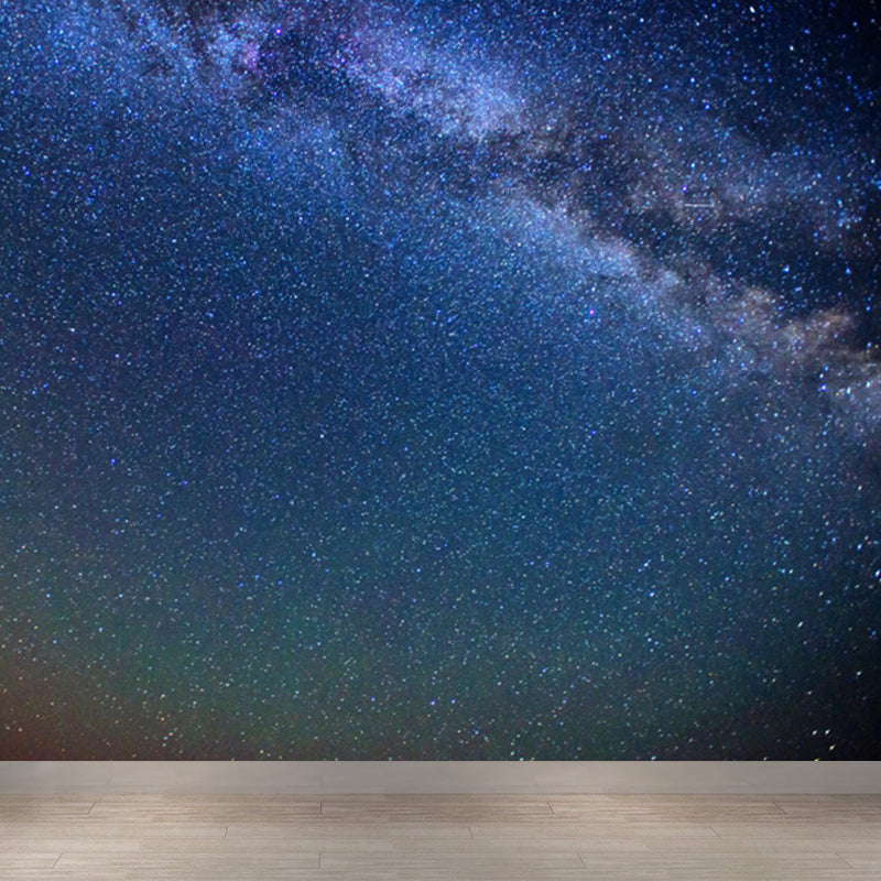 Photography Starry Night Mural Wallpaper Full Size Wall Covering for Room, Custom Print Clearhalo 'Wall Decor' 'Wall Mural' 1758097