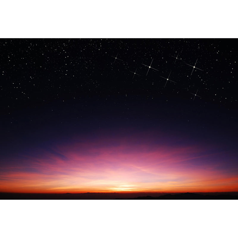 Photography Starry Night Mural Wallpaper Full Size Wall Covering for Room, Custom Print Clearhalo 'Wall Decor' 'Wall Mural' 1758103