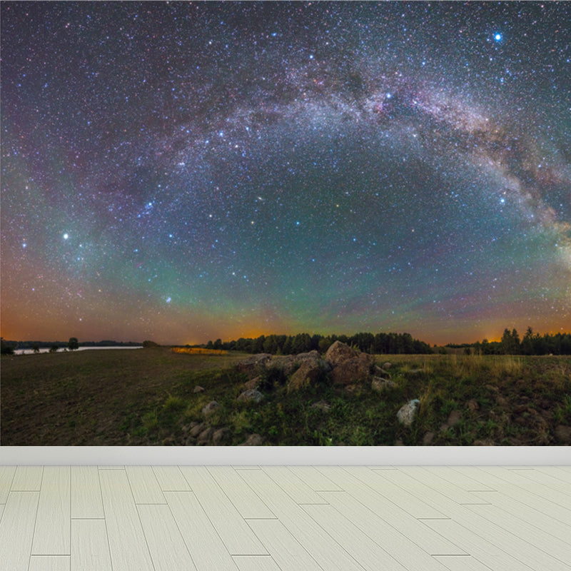 Night Sky Galaxy Printed Mural Decal Dark Color Modern Wall Decor for Kids Bedroom Clearhalo 'Wall Decor' 'Wall Mural' 1758146