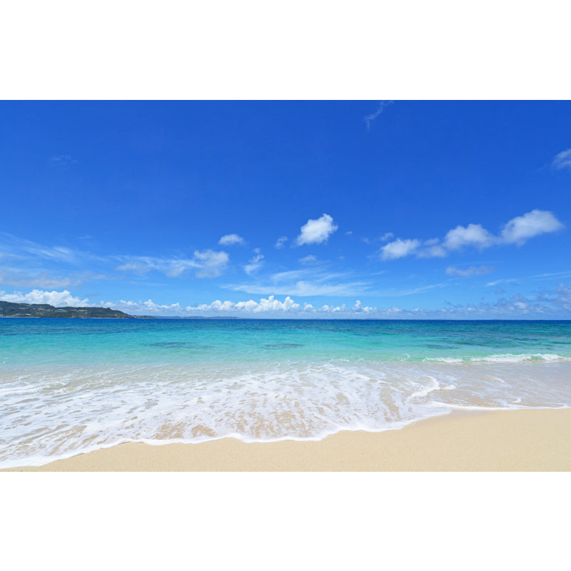 Sea Mural Wallpaper Modernist Tranquil Nature Scenery Wall Covering in Light Color Clearhalo 'Wall Decor' 'Wall Mural' 1758193