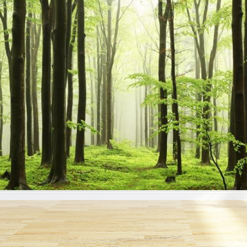 Modern Style Scenery Mural Decal Non-Woven Waterproofing Pastel Wall Art for Home Green Clearhalo 'Wall Decor' 'Wall Mural' 1758220