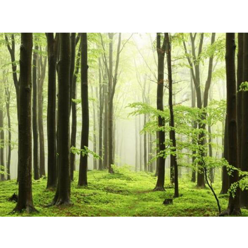 Modern Style Scenery Mural Decal Non-Woven Waterproofing Pastel Wall Art for Home Clearhalo 'Wall Decor' 'Wall Mural' 1758223