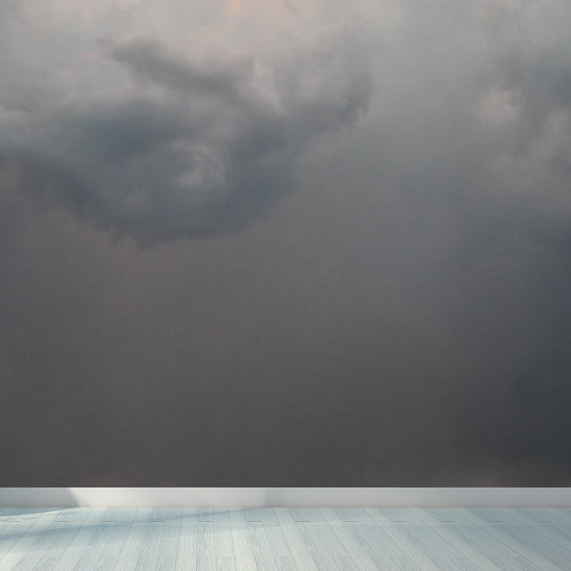 Sky Scene Wall Mural Contemporary Ornamental Dining Room Wall Decor, Personalized Grey Clearhalo 'Wall Decor' 'Wall Mural' 1758385