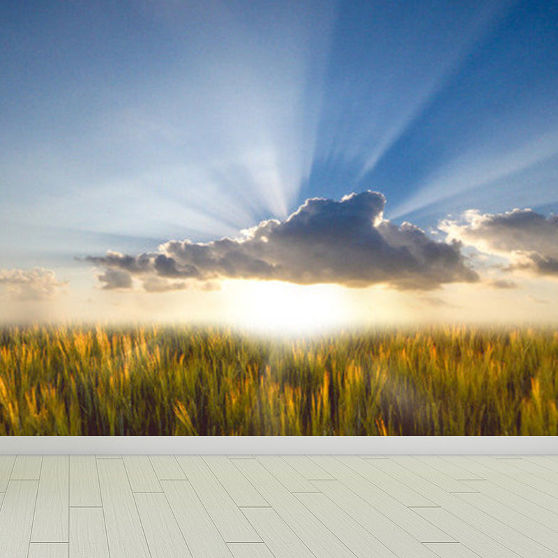 Stain-Proofing Sky View Wall Mural Non-Woven Cloth Contemporary Wall Art for Living Room Sky Blue Clearhalo 'Wall Decor' 'Wall Mural' 1758390