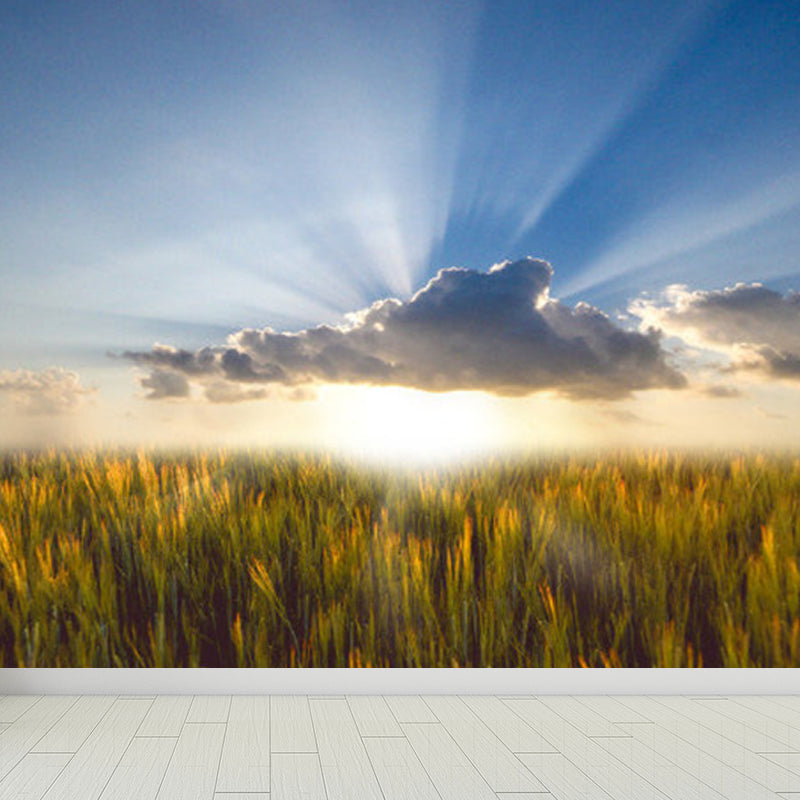 Stain-Proofing Sky View Wall Mural Non-Woven Cloth Contemporary Wall Art for Living Room Clearhalo 'Wall Decor' 'Wall Mural' 1758391