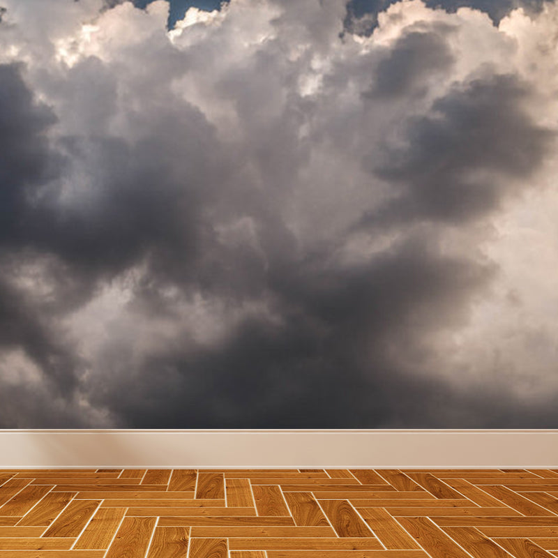 Stain-Proofing Sky View Wall Mural Non-Woven Cloth Contemporary Wall Art for Living Room Grey Clearhalo 'Wall Decor' 'Wall Mural' 1758405