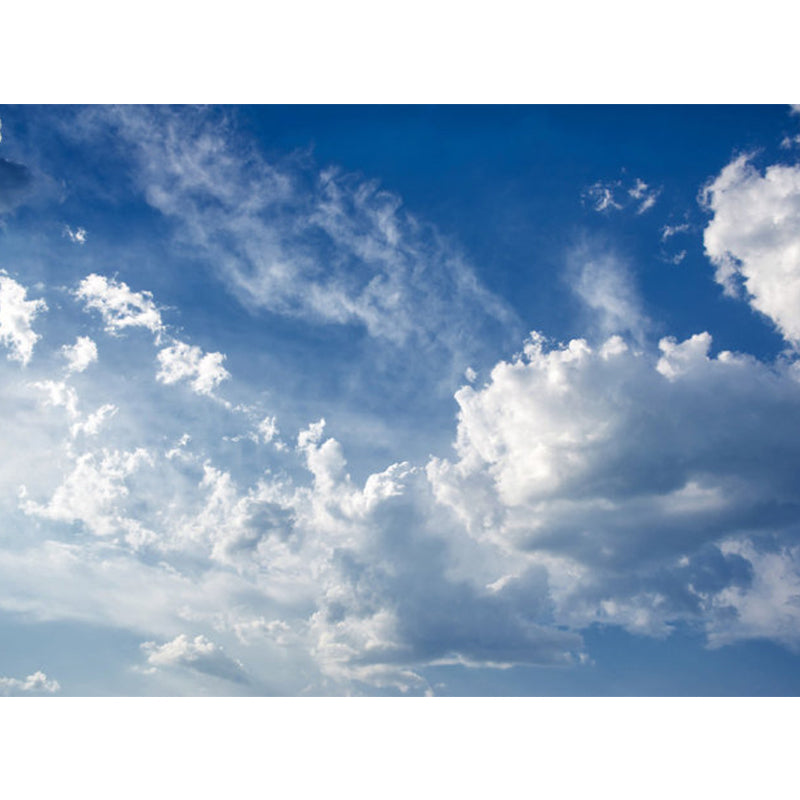 Soft Color Contemporary Mural Decal Giant Sky View Wall Covering for Living Room Clearhalo 'Wall Decor' 'Wall Mural' 1758583