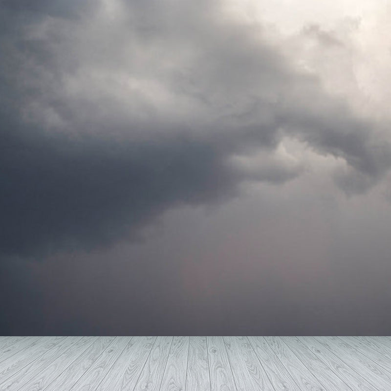 Extra Large Sky Scenery Mural Light Color Non-Woven Wall Art for Interior Decor, Customised Grey Clearhalo 'Wall Decor' 'Wall Mural' 1758625