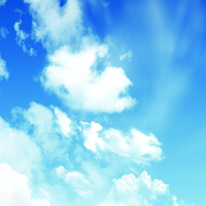 Stain Resistant Cloud View Mural Non-Woven Cloth Contemporary Wall Covering for Kitchen Clearhalo 'Wall Decor' 'Wall Mural' 1758754