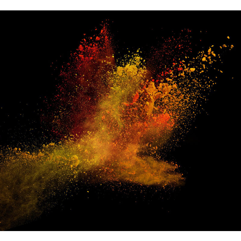 Photography Abstract Burst Print Mural Decal Big Wall Art for Sitting Room, Custom Made Clearhalo 'Wall Decor' 'Wall Mural' 1759059