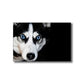 Vintage Pet Dog Canvas Print Light Color Textured Wall Art Decor for Living Room Clearhalo 'Arts' 'Canvas Art' 1760499