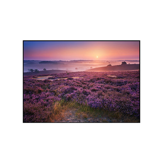 Purple Lavender Field Wall Art Flower Scenery Modern Textured Canvas Print for Bedroom Clearhalo 'Art Gallery' 'Canvas Art' 'Contemporary Art Gallery' 'Modern' Arts' 1760544
