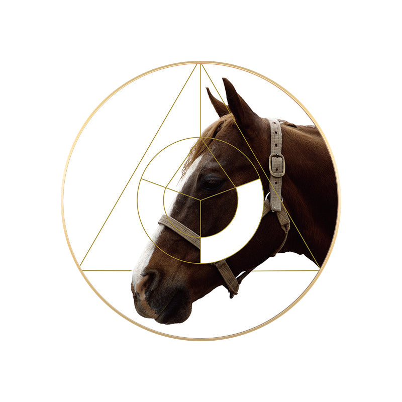 Mixed Media Horse Wall Decor Modern Style Canvas Art Print, Multiple Sizes Available Clearhalo 'Art Gallery' 'Canvas Art' 'Contemporary Art Gallery' 'Modern' Arts' 1762352