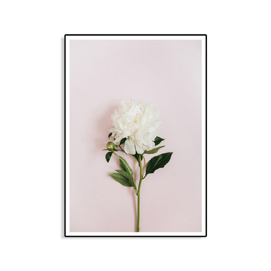 Blooming Peony Canvas Wall Art Textured Contemporary Girls Room Wall Decor in White-Pink Clearhalo 'Art Gallery' 'Canvas Art' 'Contemporary Art Gallery' 'Modern' Arts' 1762400