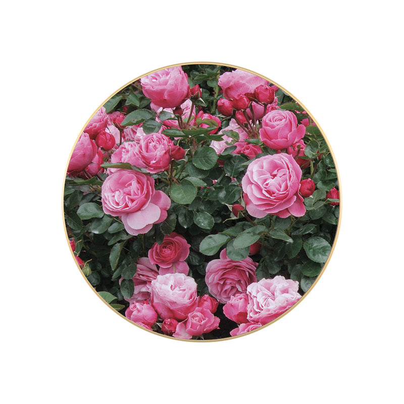 French Country Flower Blossom Canvas Pastel Color Textured Painting for Living Room Clearhalo 'Arts' 'Canvas Art' 1763346