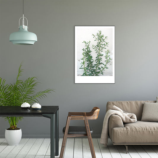 Modern Style Wall Art Print Light Color Botanical Painting, Multiple Sizes Available Clearhalo 'Art Gallery' 'Canvas Art' 'Contemporary Art Gallery' 'Modern' Arts' 1763370
