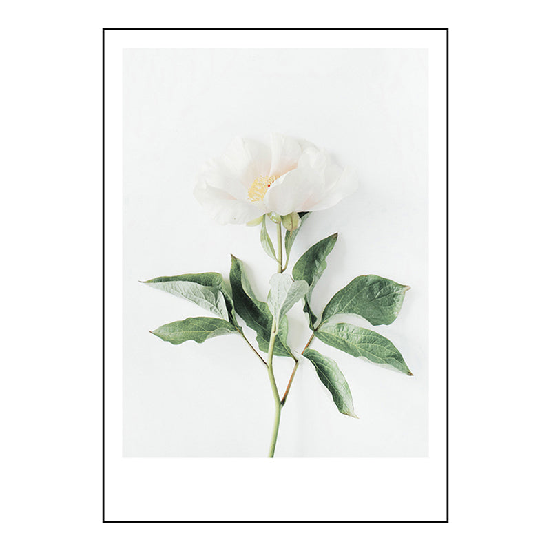 Modern Style Wall Art Print Light Color Botanical Painting, Multiple Sizes Available Clearhalo 'Art Gallery' 'Canvas Art' 'Contemporary Art Gallery' 'Modern' Arts' 1763378