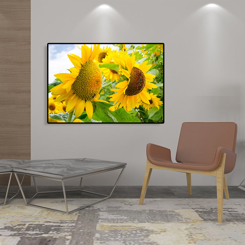 Modern Photographs Sunflower Art Print Bright Textured Wall Decor for Kids Bedroom Clearhalo 'Art Gallery' 'Canvas Art' 'Contemporary Art Gallery' 'Modern' Arts' 1765236