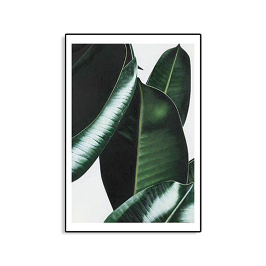 Nordic Photographs Leaves Art Print Boys Bedroom Wall Decor in Green on White, Textured Clearhalo 'Art Gallery' 'Canvas Art' 'Contemporary Art Gallery' 'Modern' Arts' 1766129
