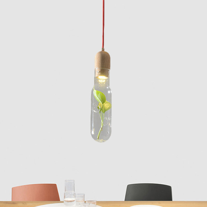 1-Head Ceiling Pendant Factory Bottle Clear Glass LED Pendulum Light with Inner Plant Deco Clear Clearhalo 'Ceiling Lights' 'Chandeliers' 'Glass shade' 'Glass' 'Pendant Lights' 'Pendants' Lighting' 1781476