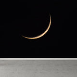 Minimal Thin Crescent Moon Mural Decal for Kids Room Customized Wall Decor in Black Clearhalo 'Wall Decor' 'Wall Mural' 1783759