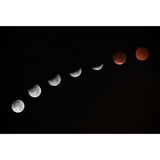 Whole Astronomy Wall Covering Mural Modern Complete Lunar Eclipse Wall Art in Black
