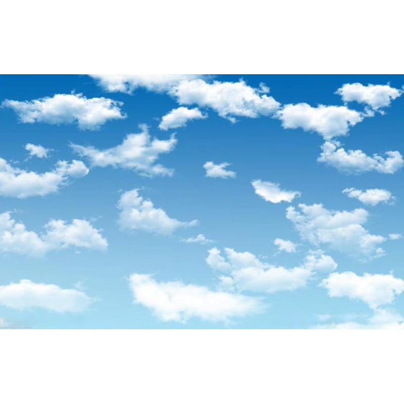 Giant Modern Mural Decal Soft Color Sky Scenery Wall Decor, Custom Size Available Clearhalo 'Wall Decor' 'Wall Mural' 1783902