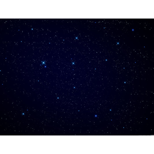 Whole Glittering Star Wall Mural Modern Resplendent Night Sky Wall Covering in Black Clearhalo 'Wall Decor' 'Wall Mural' 1784031