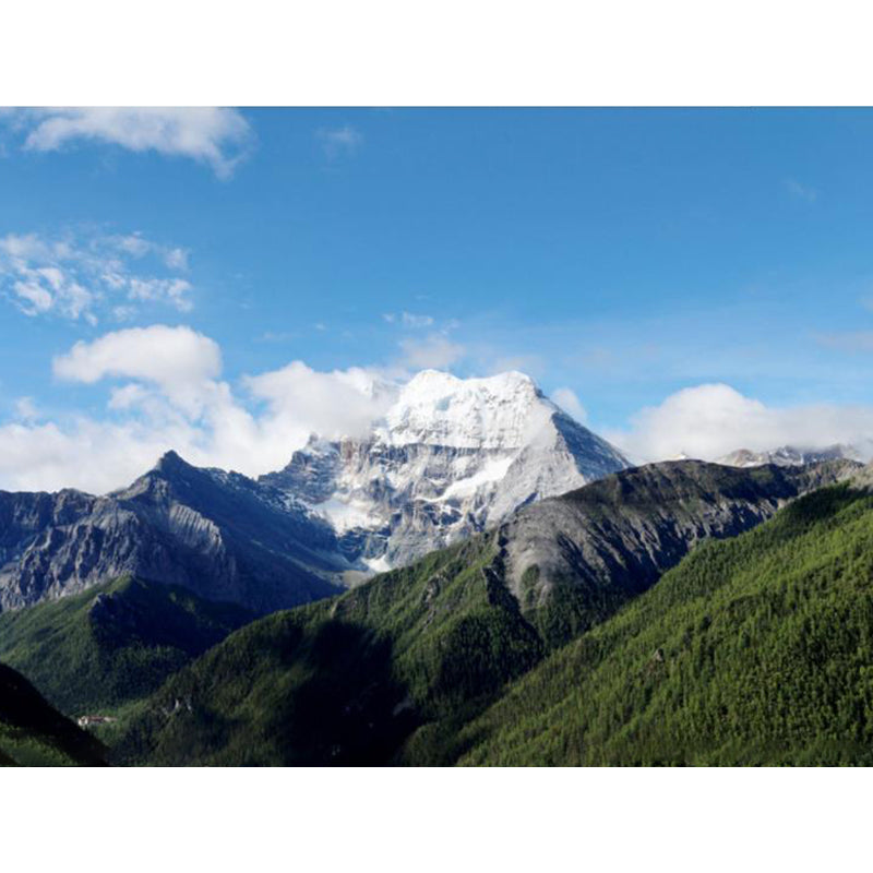 Light Color Contemporary Mural Wallpaper Sky Scenery Wall Covering for Guest Room Clearhalo 'Wall Decor' 'Wall Mural' 1784210