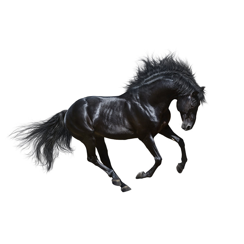 Extra Large Steed Mural Soft Color Non-Woven Wall Art for Home Decor, Custom Printed Clearhalo 'Wall Decor' 'Wall Mural' 1784501