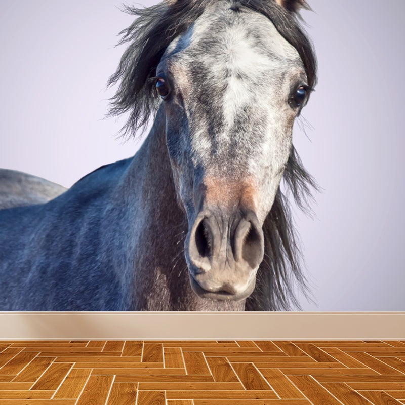 Extra Large Steed Mural Soft Color Non-Woven Wall Art for Home Decor, Custom Printed Grey Clearhalo 'Wall Decor' 'Wall Mural' 1784503