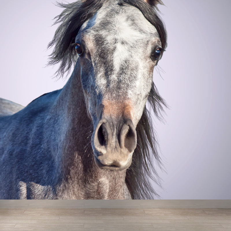 Extra Large Steed Mural Soft Color Non-Woven Wall Art for Home Decor, Custom Printed Clearhalo 'Wall Decor' 'Wall Mural' 1784504