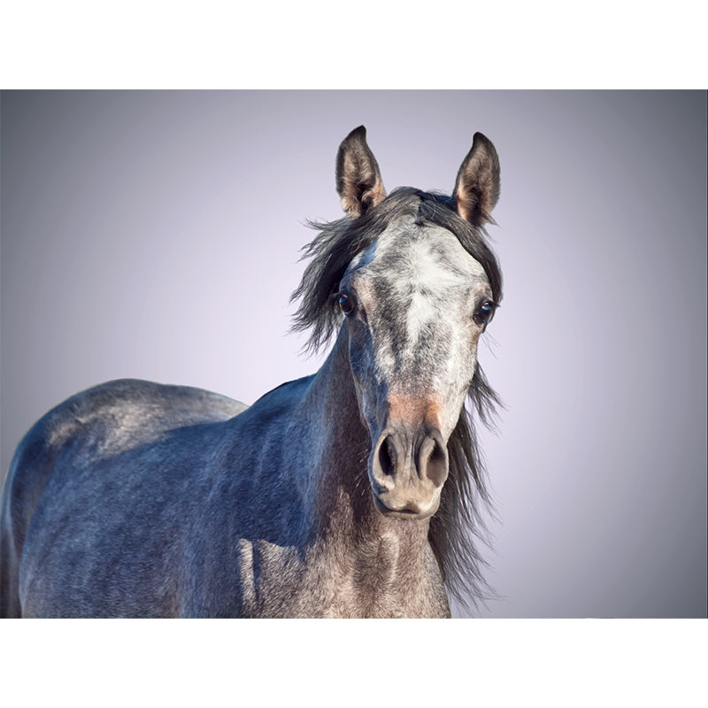 Extra Large Steed Mural Soft Color Non-Woven Wall Art for Home Decor, Custom Printed Clearhalo 'Wall Decor' 'Wall Mural' 1784506