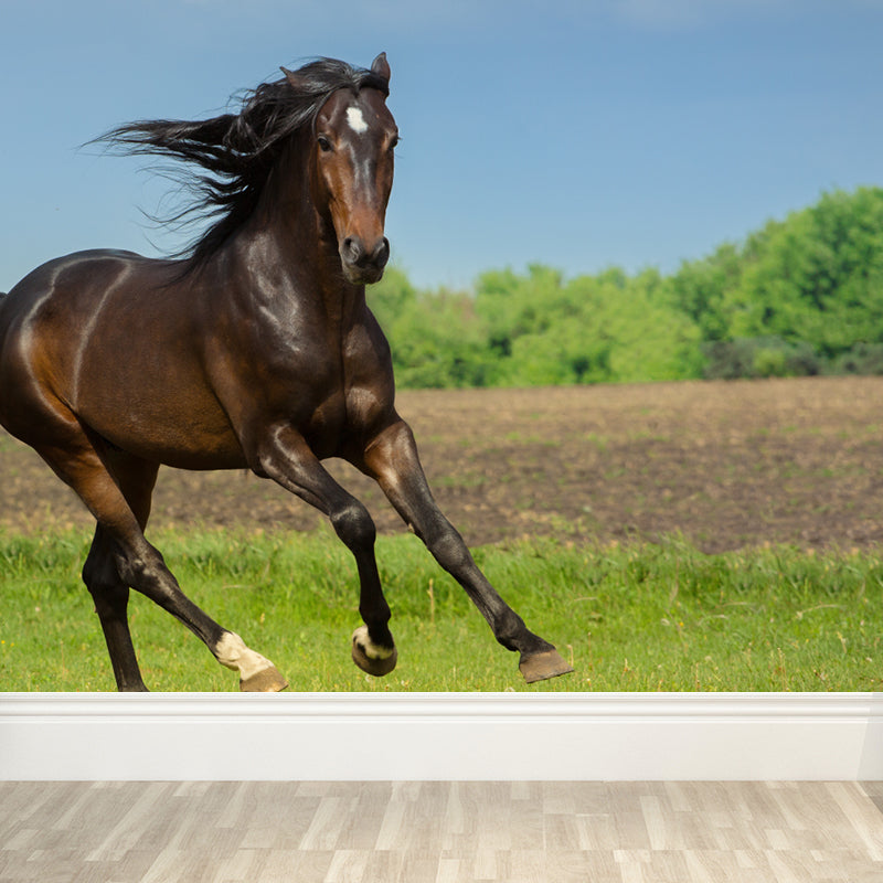 Extra Large Steed Mural Soft Color Non-Woven Wall Art for Home Decor, Custom Printed Clearhalo 'Wall Decor' 'Wall Mural' 1784510