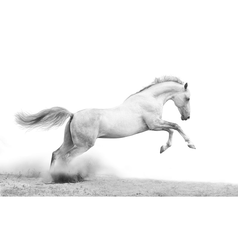 Extra Large Steed Mural Soft Color Non-Woven Wall Art for Home Decor, Custom Printed Clearhalo 'Wall Decor' 'Wall Mural' 1784521